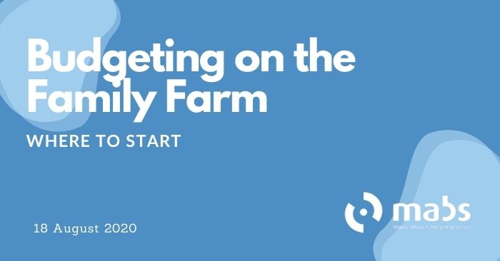 banner for post for budgeting on the family farm