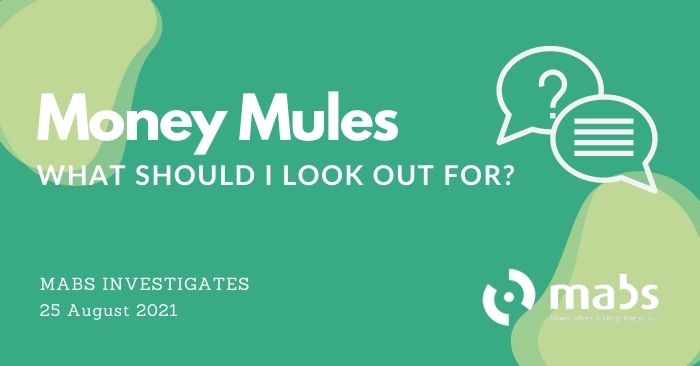 banner for post on money mules mabs investigates