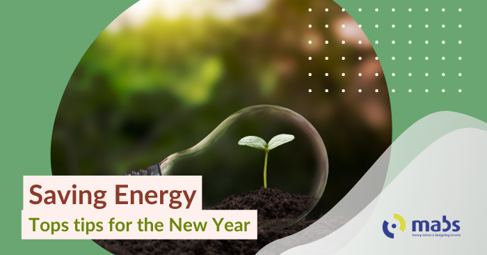 Blog post banner image contains an image of a lightbul lying on soil with a plant growing inside. Text on the banner reads "Saving energy - Top tips for the New Year"
