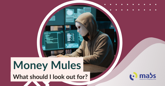 Blog banner image with a a magnifying glass that holds an image of a man at a computer wearing a mask to hide his face. Text below reads "Money Mules - What should I know?"