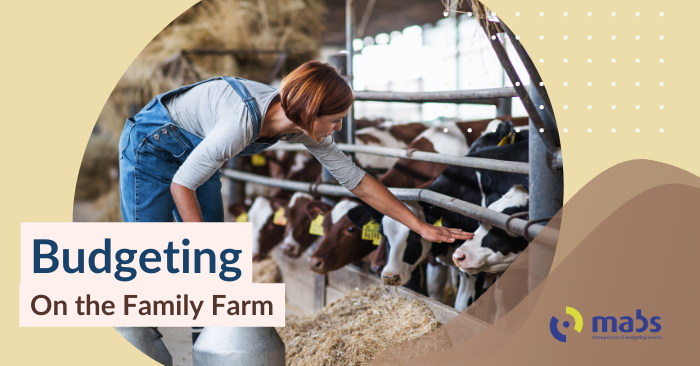 Cover image for blog post. Text reads "Budgeting - On the family farm". Center image holds an image of a a woman in a cattle shed petting a cow, while other other cows are held behind a fence.
